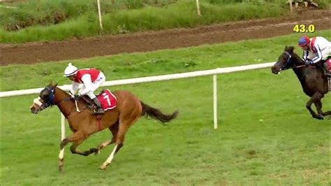 Something Royal wins the Nilgiris Derby Stakes (Gr.1) .